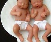 胚胎级别：决定发育潜能与应用领域的关键指标解析 2026版