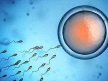 姐妹你一定要知道！武汉同济医院做三代试管婴儿成功率如何？