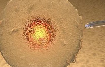 孕妇去除胎毒吃什么较好？孕晚期去胎毒的水果