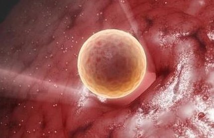 不孕不育名医北京（不孕不育北京哪家医院看的好）