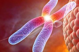 广东三代试管婴儿医院排名公布，附试管婴儿费用及成功率参考！