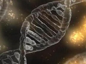 怀孕初期症状小腹痛，做这些事情可以保胎