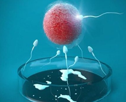 深圳地区有哪些私立的机构可以做试管技术？2026在公立医院申请试管大约要多少钱？